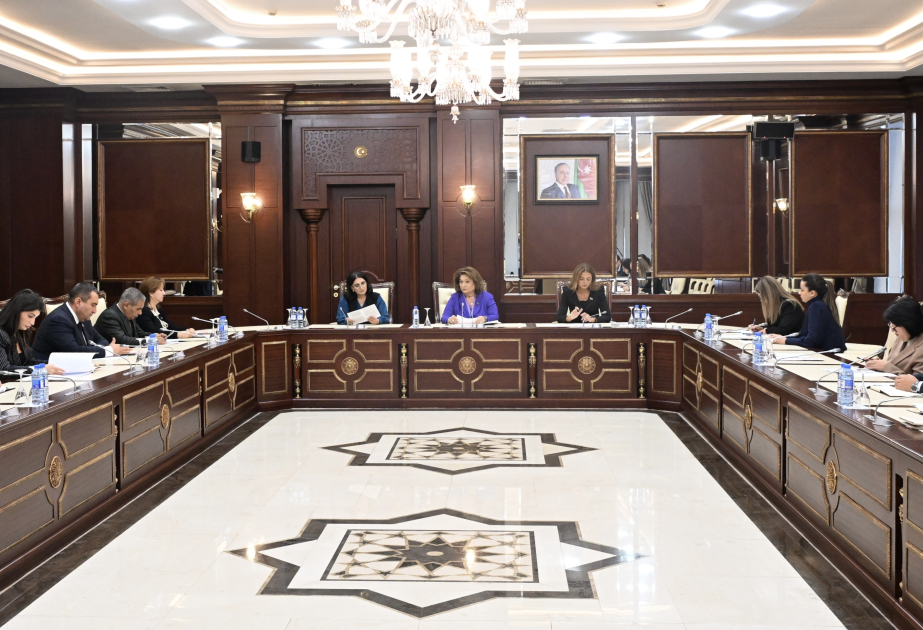 Milli Məclisin Ailə, qadın və uşaq məsələləri komitəsinin iclası keçirilib