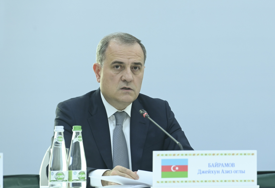 Azerbaijani FM addresses meeting of CIS Council of Foreign Ministers