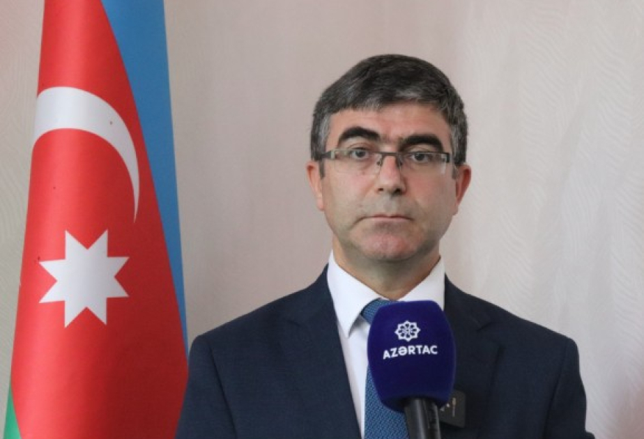Professor: Nobel kəşfləri təhlükəsiz dərmanların hazırlanmasına yeni imkanlar yaradır