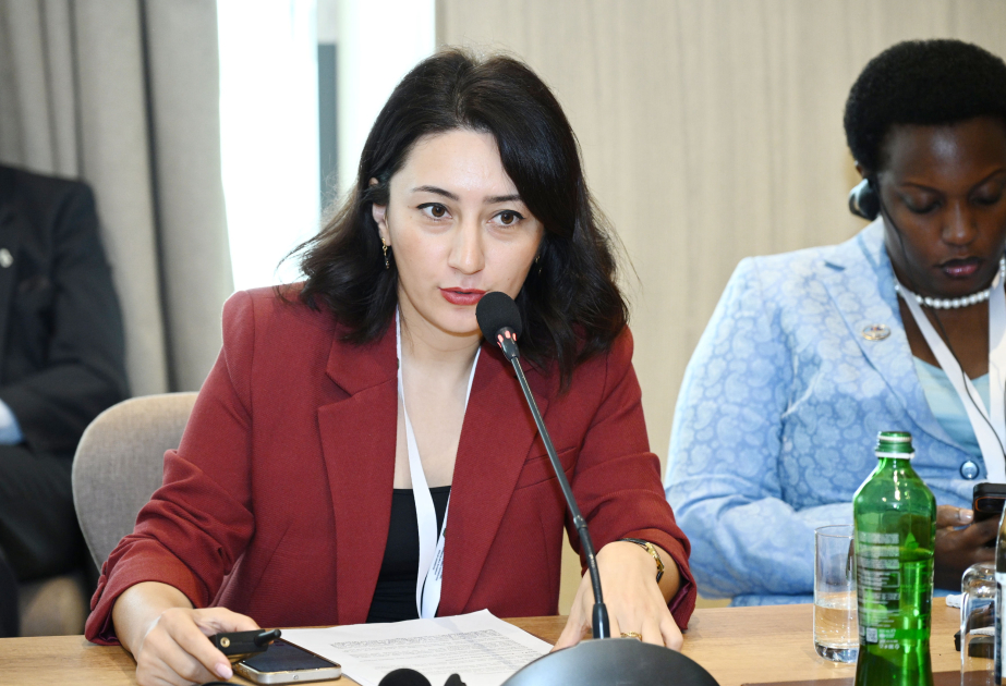 Cəmilə Bayramova: Mürəkkəb nümunələrin genetik identifikasiyası peşəkar yanaşma tələb edir
