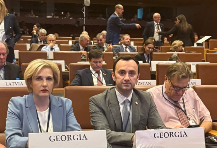 Avropa Parlamentində Gürcüstanla bağlı fikir ayrılığı yaranıb