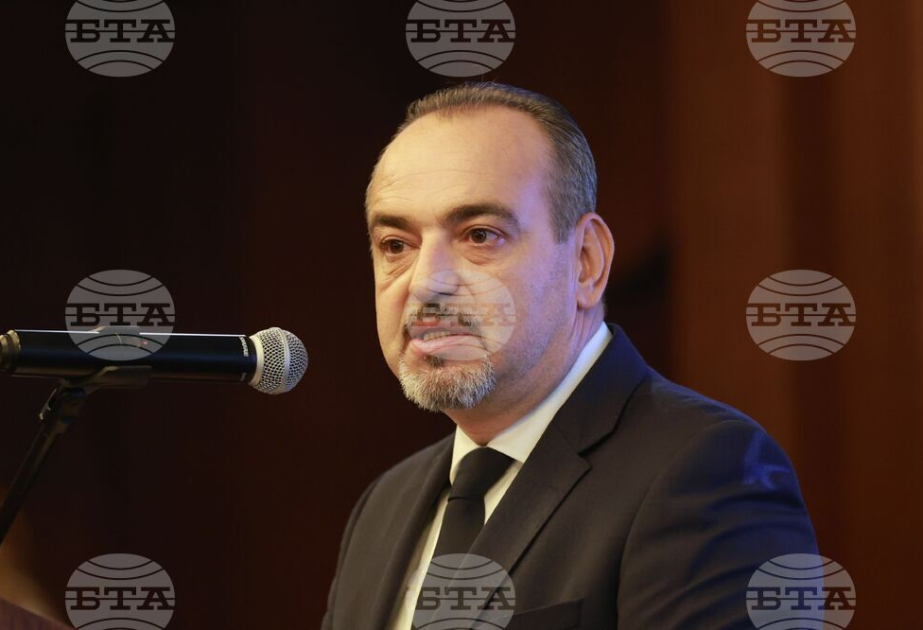 Central and Eastern Europe should lead "Smart Transition", Bulgarian Industrial Association chair says