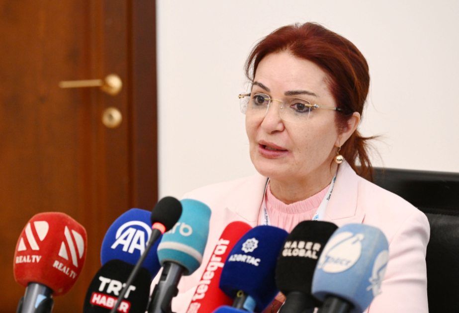 Aygün Attar: Azərbaycan beynəlxalq münasibətlərdə təşəbbüskar aktor kimi mövqeyini gücləndirir
