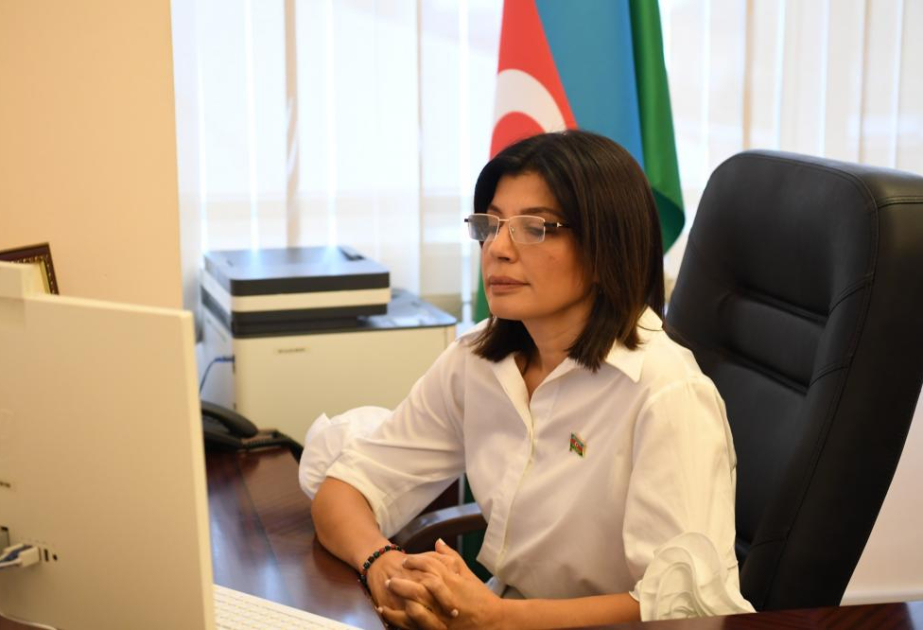 TÜRKPA-ya üzv dövlətlər arasında vahid informasiya məkanının yaradılması diqqət mərkəzində