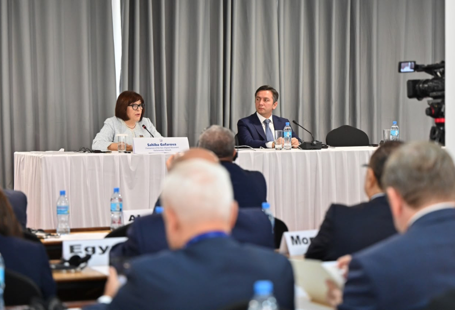 Sahibə Qafarova Tanzaniyada Qoşulmama Hərəkatı Parlament Şəbəkəsinin koordinasiya iclasına sədrlik edib