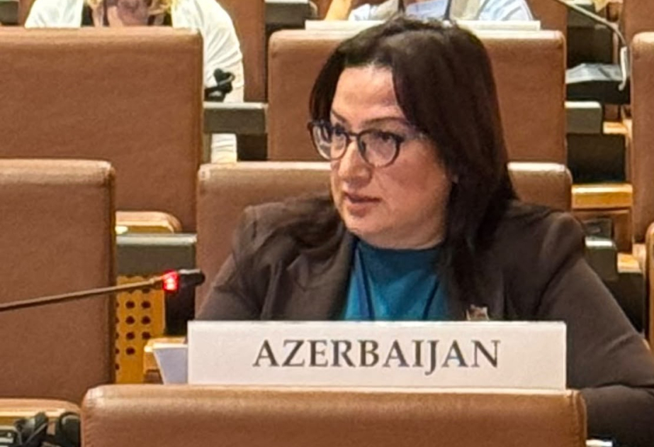 Deputat: Azərbaycanda rəqəmsallaşma və innovasiya siyasəti uğurla koordinasiya olunur