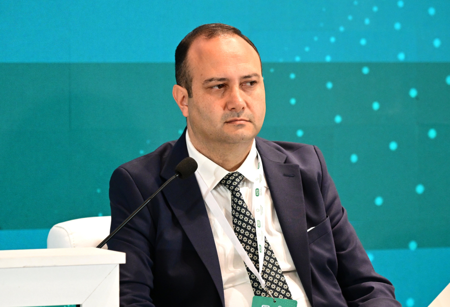 Fəlsəfə doktoru: Milli-mənəvi dəyərlər gənclərə izah və müzakirə yolu ilə aşılanmalıdır
