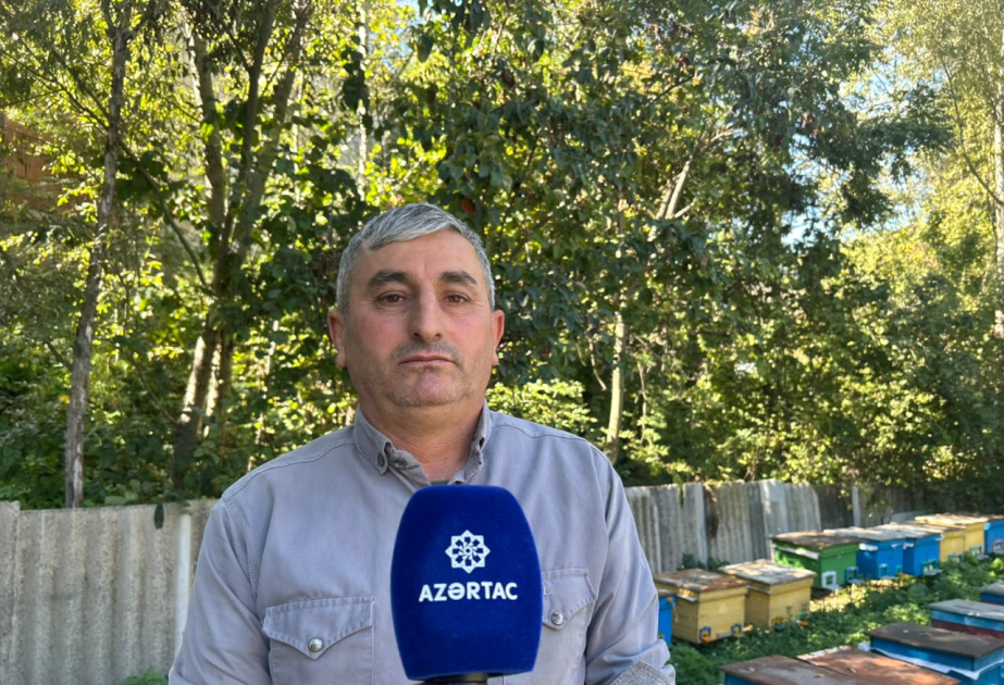 Arıçı Ağadadaş Abbasov: Bu peşədə hər fəslin özünəməxsus çətinliyi var