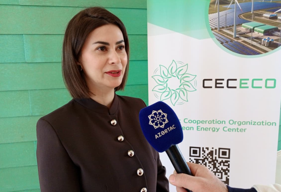 İcraçı direktoru: Enerji və ətraf mühit məsələlərinə vahid yanaşma Xəzər dənizinin sağlam ekosistemi üçün əsas şərtdir