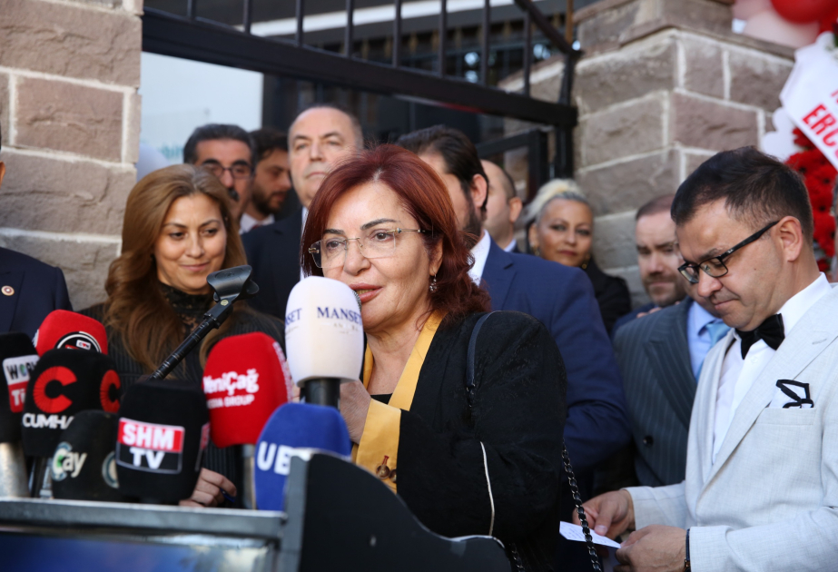 Aygün Attar Türk İnternet Media Birliyinin Ali Məşvərət Şurasının üzvü seçilib