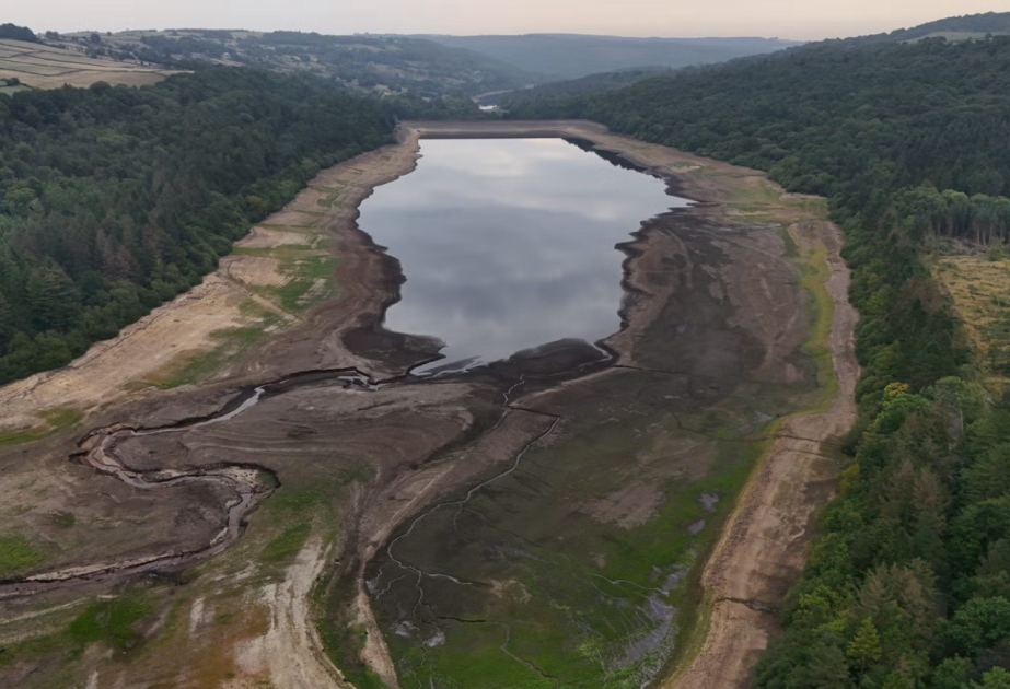 Drought declared in Yorkshire after dry weather