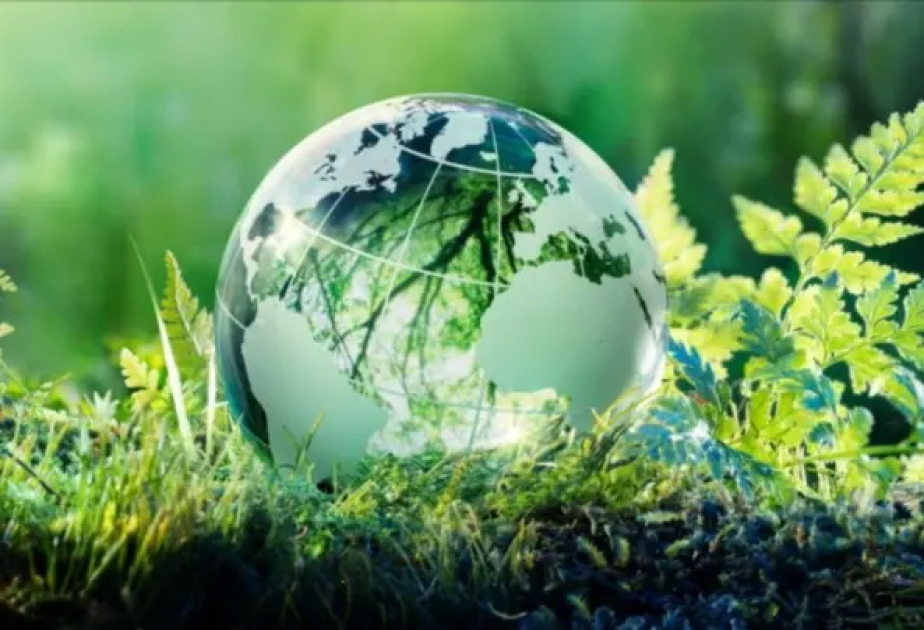 EU eyes COP31 climate deal to accelerate CO2 cuts, document shows