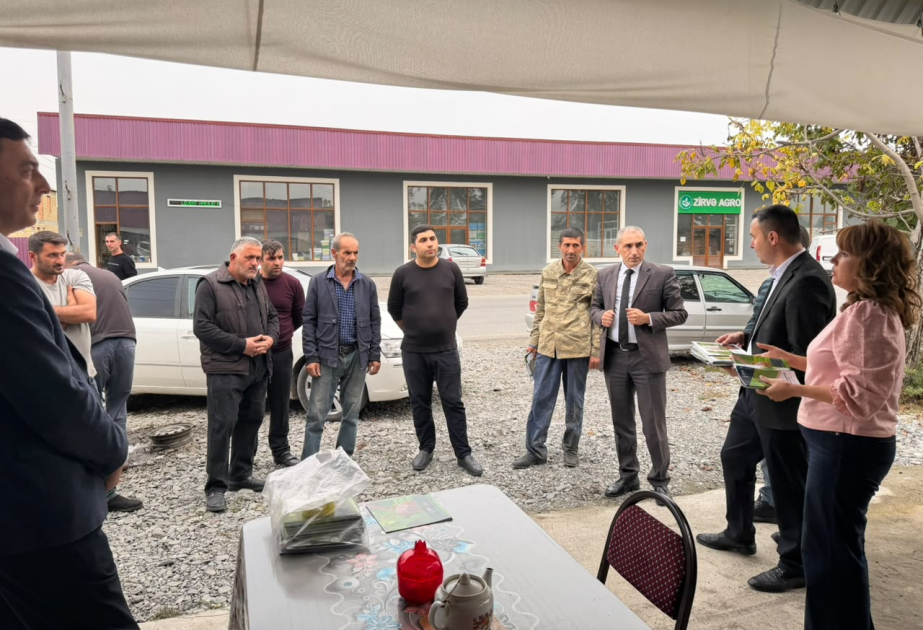 Oğuz sakinlərinə qəhvəyi mərmər bağacığına qarşı mübarizə ilə bağlı tövsiyələr verilib