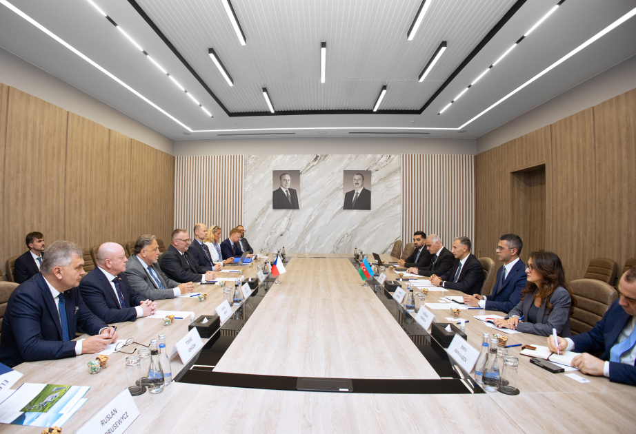 Azərbaycan və Çexiya Orta Dəhlizin təşviqi məsələlərini nəzərdən keçirib