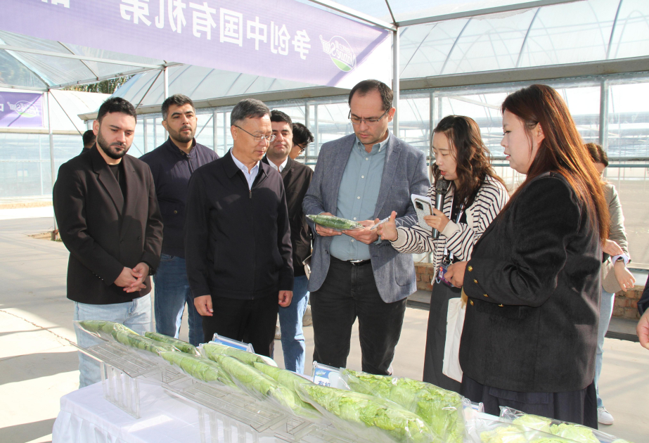 Çində orqanik istehsal və ağıllı istixana texnologiyaları öyrənilib