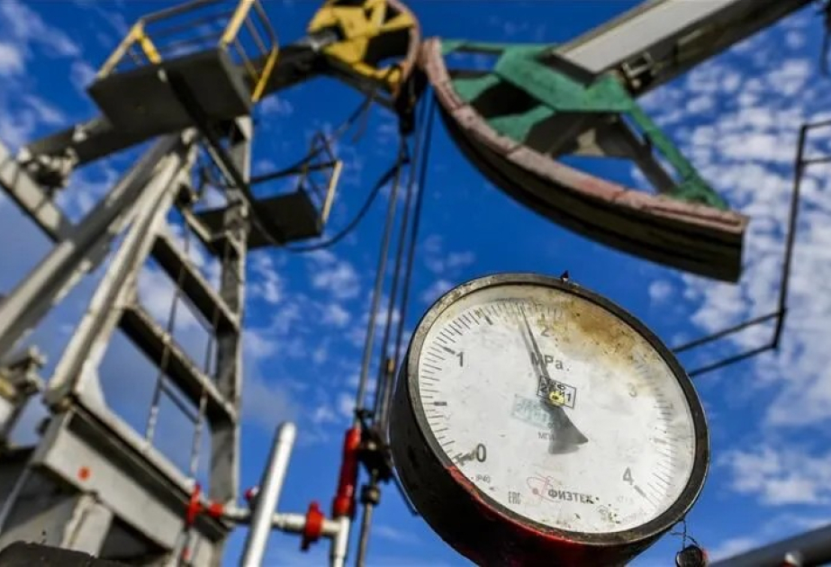 OPEC-in gündəlik neft hasilatı 25 milyon bareli ötüb