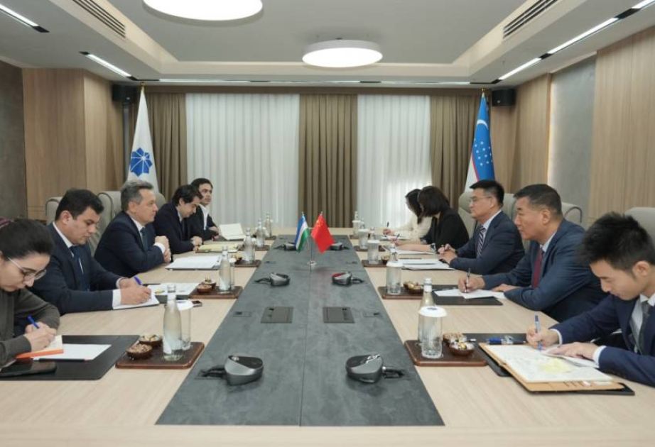 Uzbekistan and China deepen cooperation in AI, IT, and education