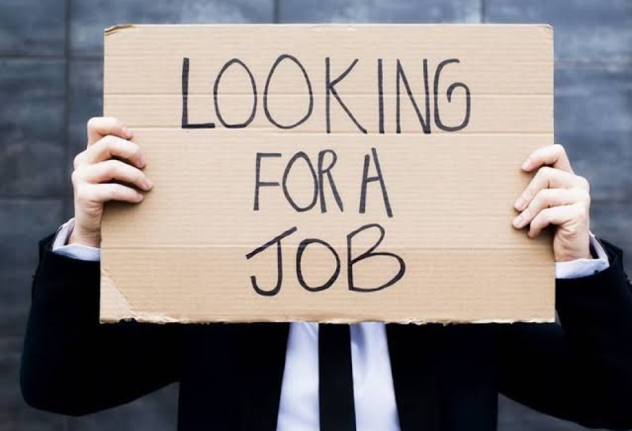 800 millions de jeune pourraient se retrouver sans emploi d’ici quinze ans