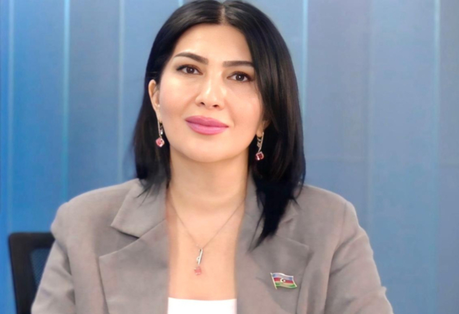 Bakıdan Laosa uzanan yeni tərəfdaşlığın perspektivləri -  ŞƏRH