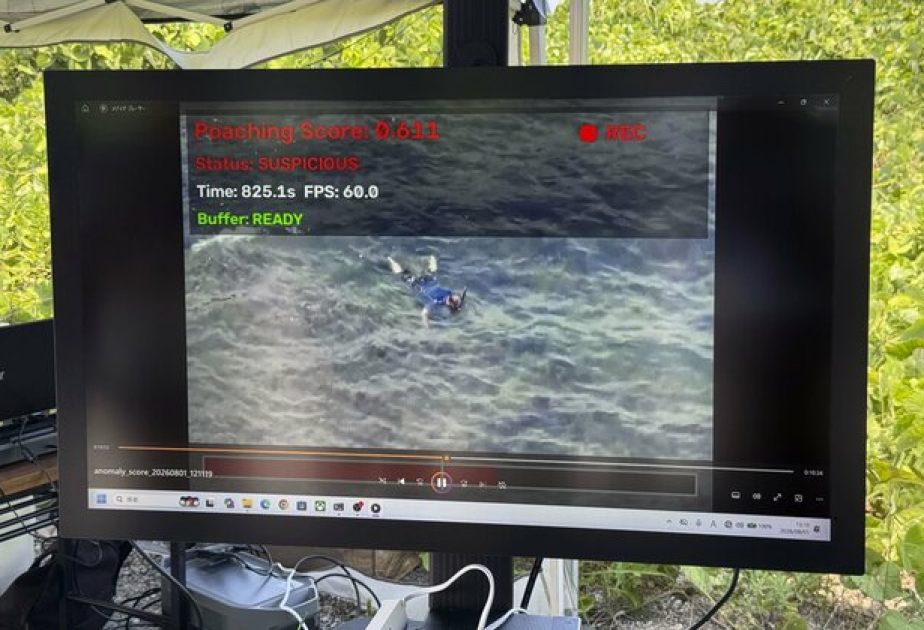 Yaponiya dəniz canlılarının qanunsuz ovlanmasına qarşı süni intellektli dronlardan istifadə edəcək