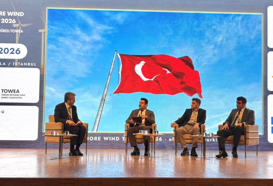Şöbə müdiri: Azərbaycanın dənizdə külək enerjisi potensialı yaşıl enerji ixracı hədəfləri baxımından mühümdür