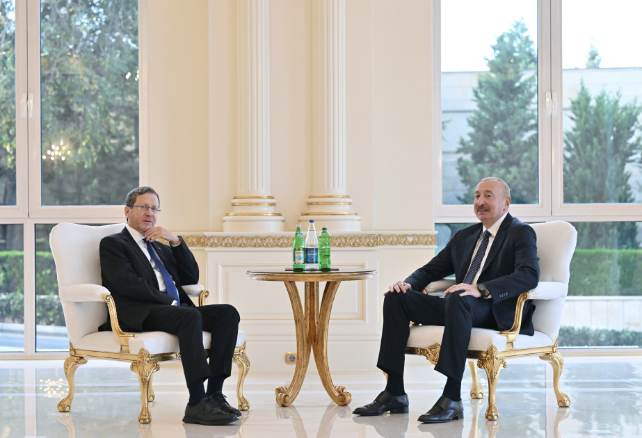 Prezident İlham Əliyevin İsrail Prezidenti ilə görüşü olub