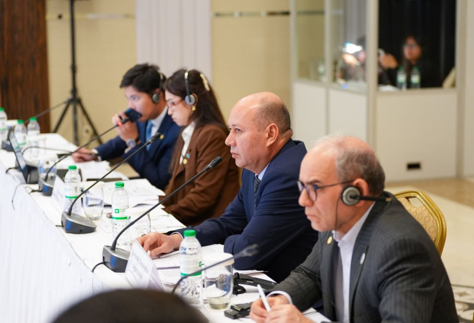 В Астане обсудили приоритеты транспортного сотрудничества стран ОЭС до 2035 года