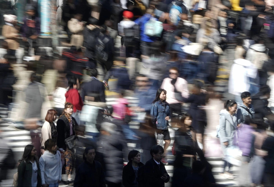Japanese municipalities with over 5 percent foreign residents increase 2.5-fold