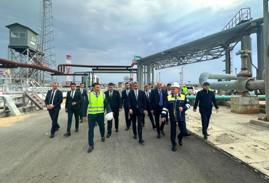 Baku Port and Kazakhstan’s ports explore closer operational coordination