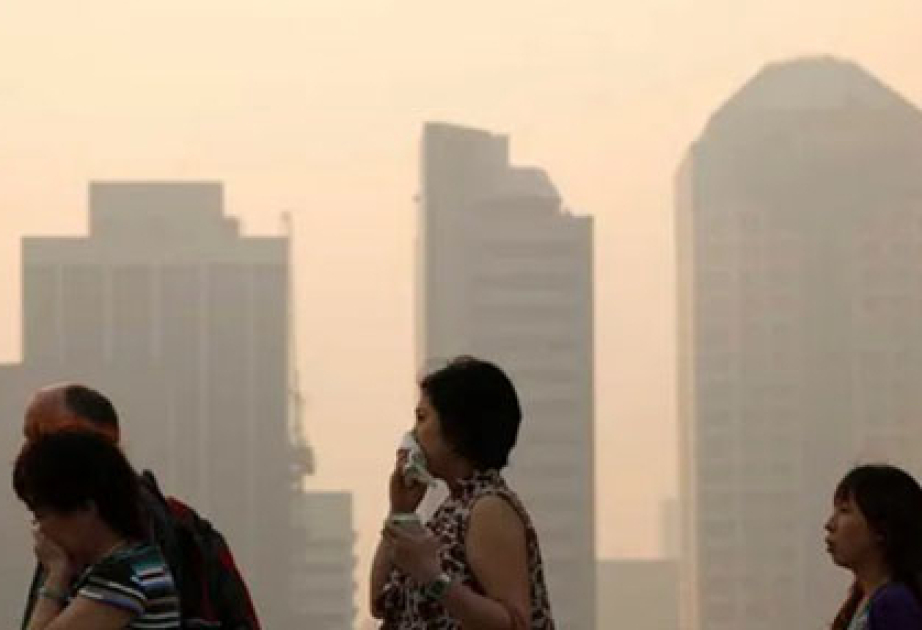 Who's to blame for the toxic haze choking South East Asia?