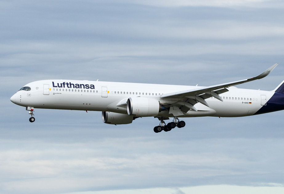 Lufthansa wins race for €1.2 billion stake in Portuguese carrier TAP