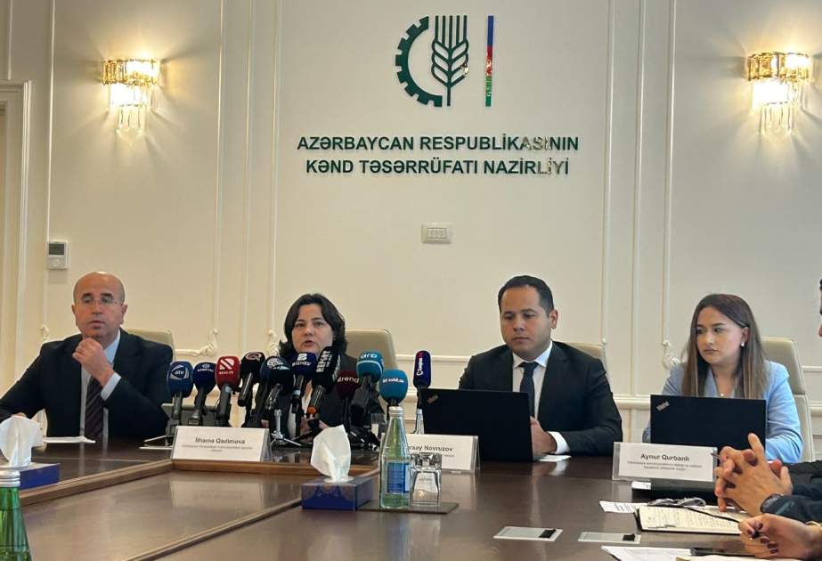 Nazir müavini: Aqrar Süni İntellekt layihəsi çərçivəsində 24 həll üzrə hazırlıq işləri başa çatıb