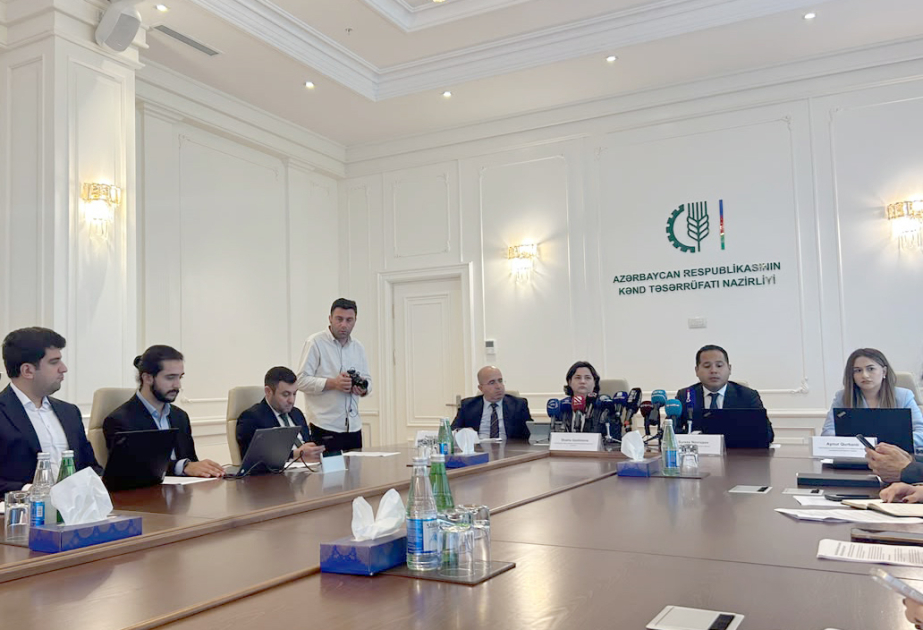 Nazir müavini: Aqrar Süni İntellekt layihəsi çərçivəsində 313 min fermerin reytinqi qiymətləndirilib