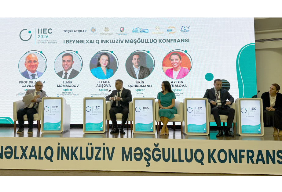 Azərbaycanda ən yaxşı təcrübələr - İnklüziv məşğulluq məsələləri nəzərdən keçirilib