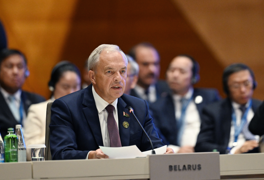 İqor Sergeyenko: AQEM-in tamhüquqlu təşkilata çevrilməsini dəstəkləyirik
