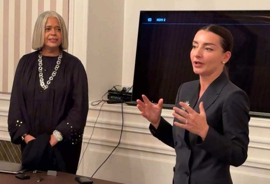 Azerbaijan’s cultural and tourism potential presented to French experts in Paris