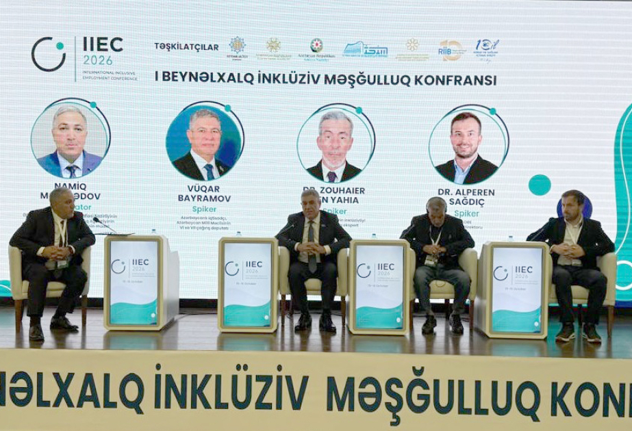 I Beynəlxalq İnklüziv Məşğulluq Konfransı çərçivəsində üçüncü panel sessiya təşkil olunub