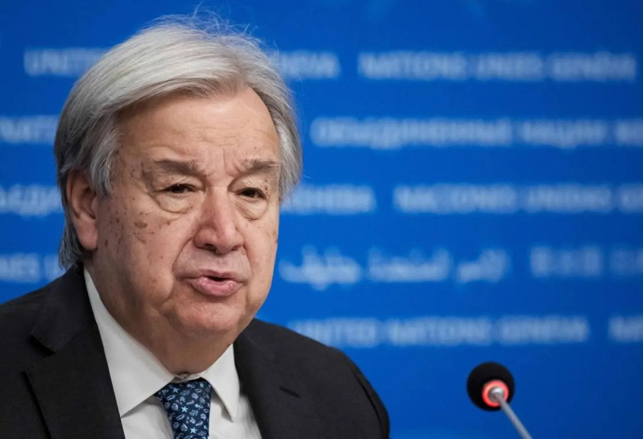 UN: The world is waging a ‘war on nature’ as progress on biodiversity targets lags
