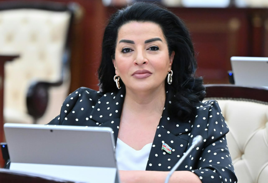 Azərbaycanın sülh gündəliyi regional sabitliyin təmin olunmasına xidmət edir ŞƏRH