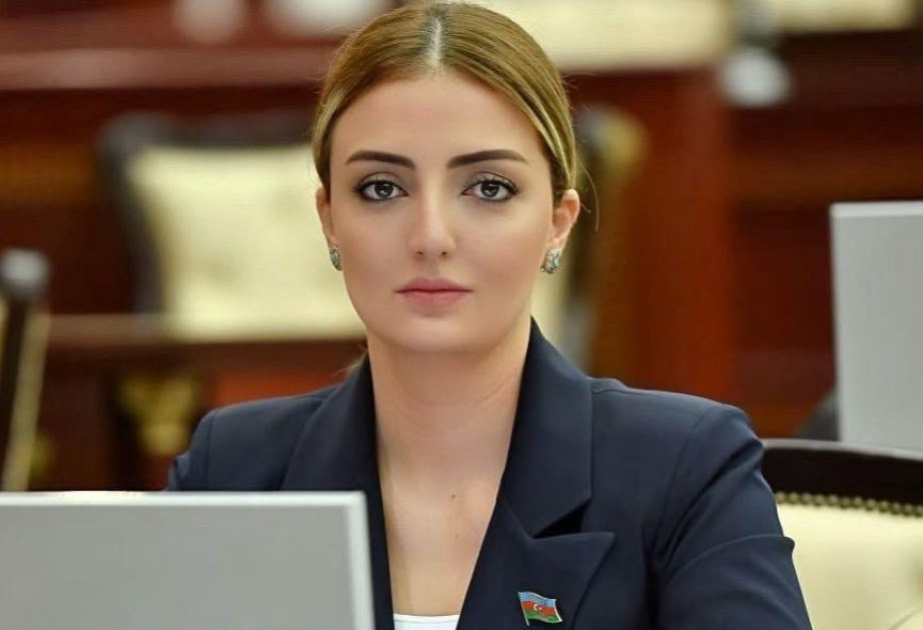 Deputat: Füzulidə də iqtisadi fəallığın artırılması əsas prioritetlərdəndir