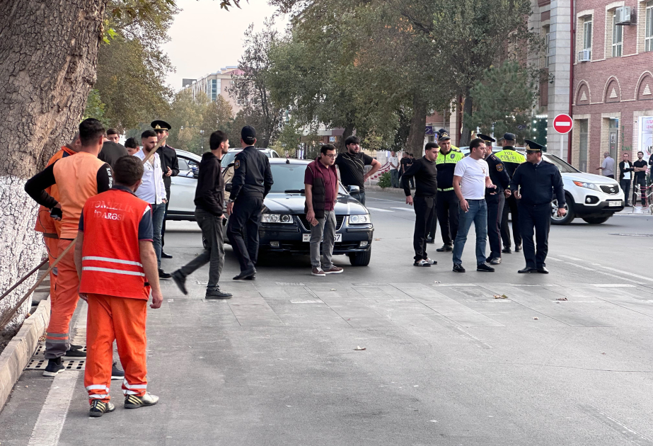 Naxçıvanda avtomobil piyadanı vurub