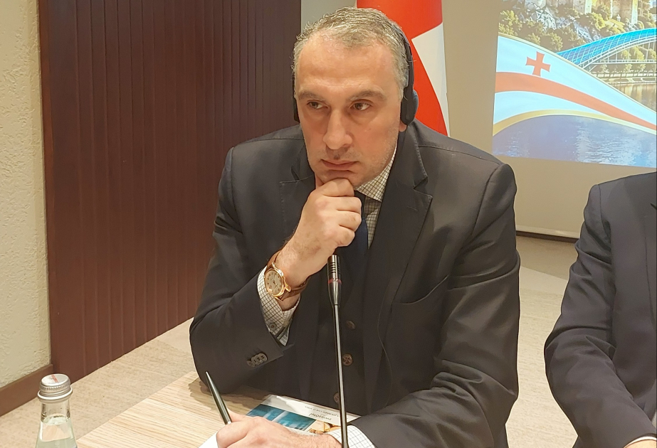 Gürcü politoloq: Mövcud enerji infrastrukturu Gürcüstan-Azərbaycan əməkdaşlığını daha da dərinləşdirir