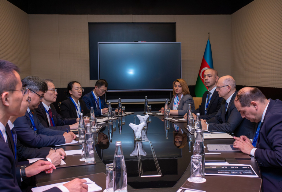 Una empresa china está dispuesta a continuar los trabajos en proyectos de energía verde en Azerbaiyán