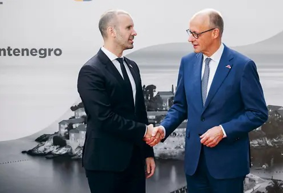 Monteneqroda Berlin Prosesi çərçivəsində XIII Sammit keçirilib