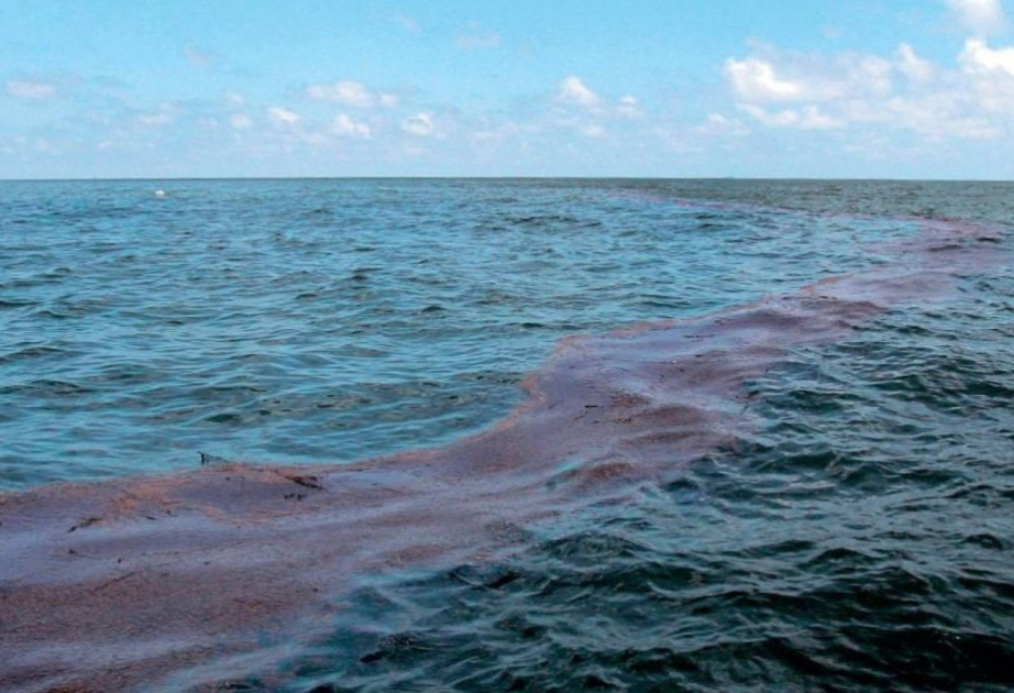 UAE detects tanker oil spill affecting beaches in Umm Al Quwain
