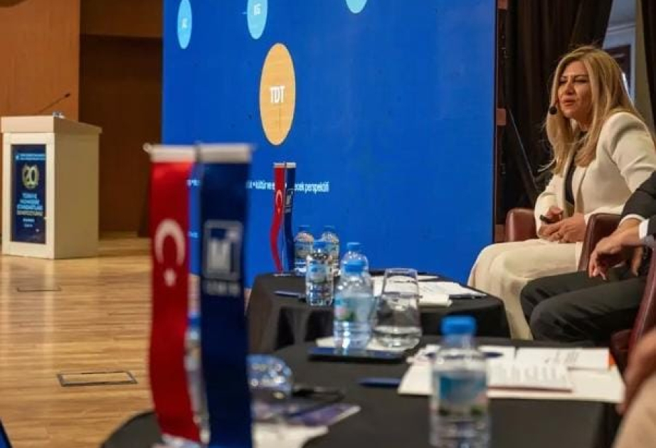 Professor: Türk Dövlətləri Təşkilatı iqtisadi əməkdaşlıq üçün institusional platformadır