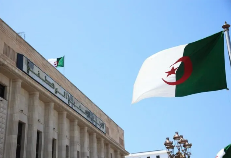 الجزائر: البرلمان يوافق على إرسال وحدة عسكرية إلى النيجر