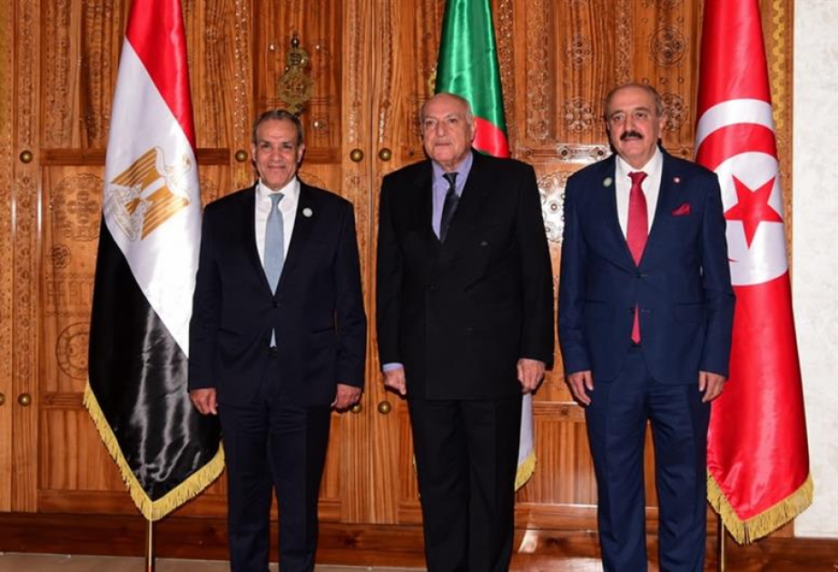 Misir, Əlcəzair və Tunis xarici qoşunların Liviyadan çıxarılmasına çağırıb