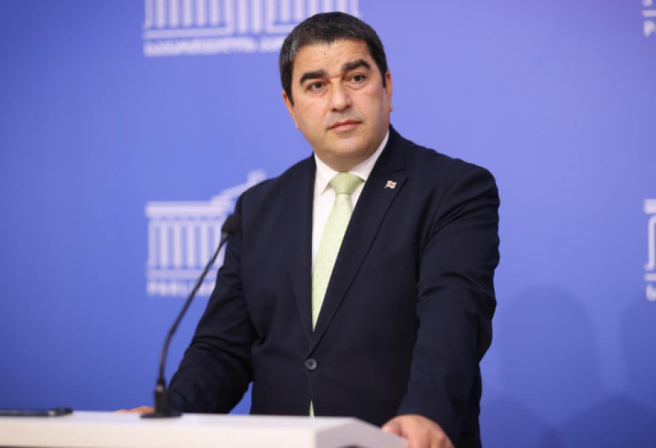 Şalva Papuaşvili: Avropa Komissiyası Gürcüstana qarşı sovet metodlarından istifadə edir