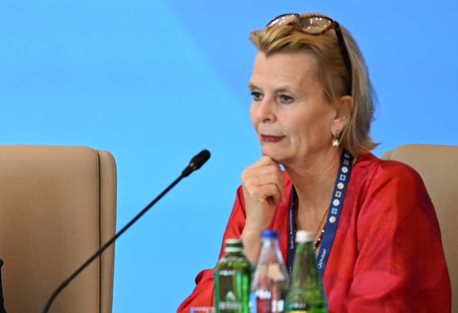 Asa Regner: Qadınların təşəbbüslərinə mane olan stereotiplərə qarşı mübarizə aparırıq